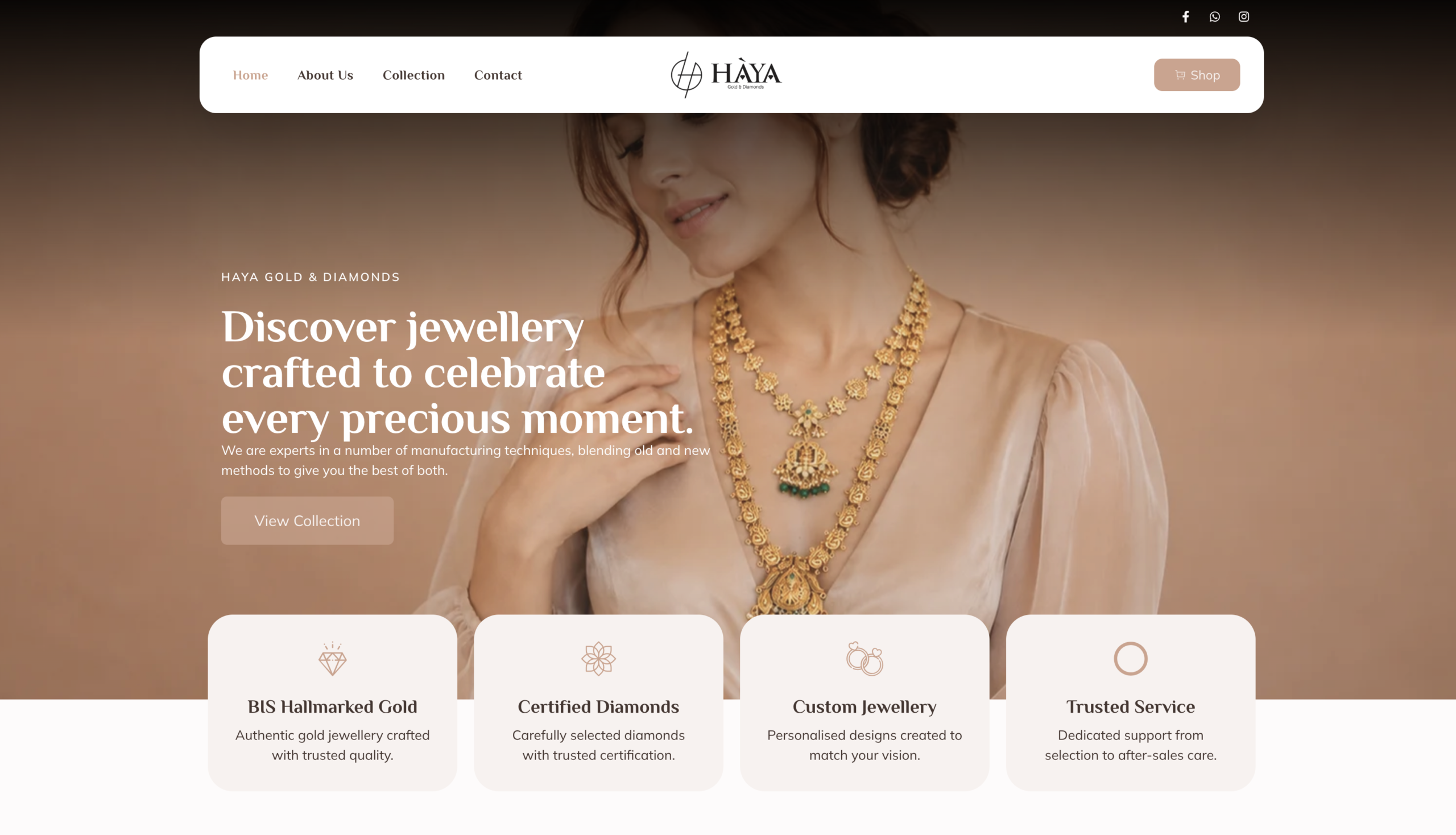 Web Development Project